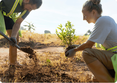 tree planting